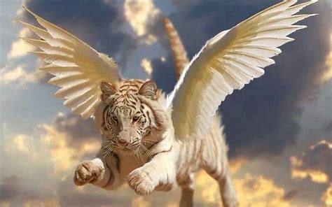 Tiger Angel With Wings Mystical Animals Mythical Creatures Art