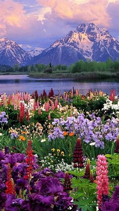 Spring Nature Best Iphone Beautiful Landscapes Beautiful Nature