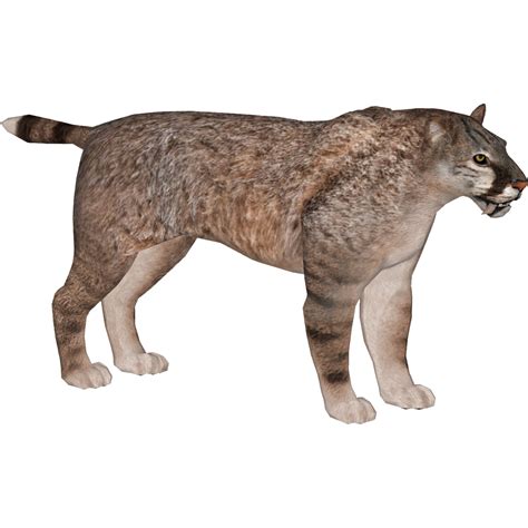 Scimitar Cat Tyranachu Zt2 Download Library Wiki Fandom