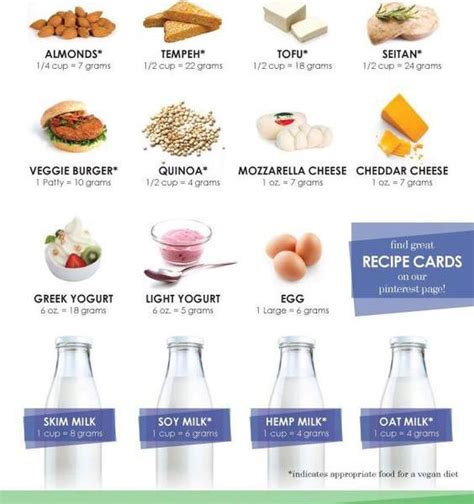 15 Vegetarian Diet Foods Infographic Best Infographics