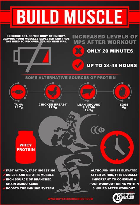 This Infographic Looks At How To Build Muscle And The Effects Of Mps