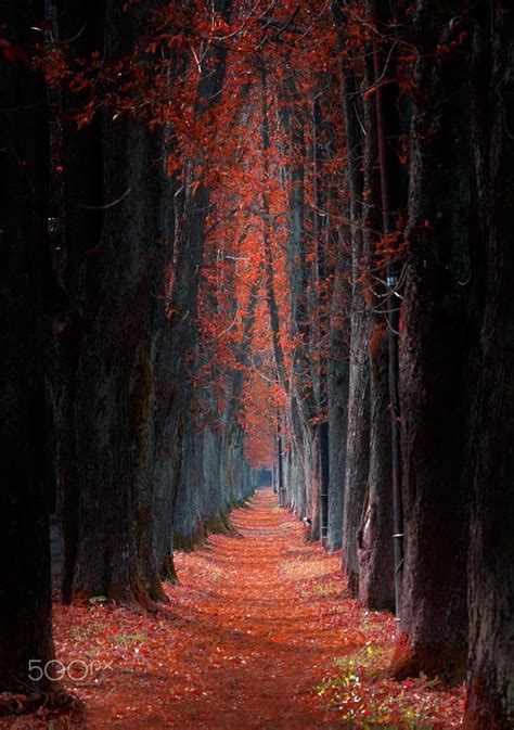 Red Pathway By Mevludin Sejmenovic On 500px Ilidza Sarajevo