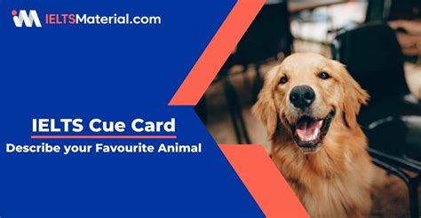 Describe Your Favourite Animal Ielts Cue Card