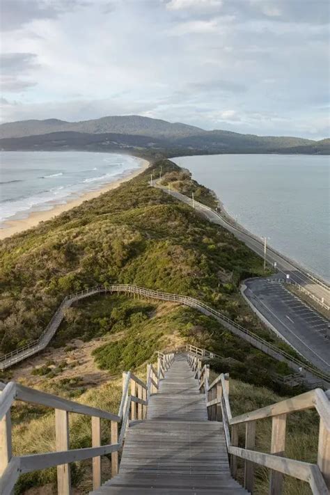 The Neck Lookout And Camping Bruny Island Enjoy Tasmania