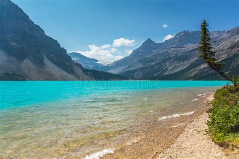Bow Lake In British Columbia Banff In Canada Stock Photo Image Of
