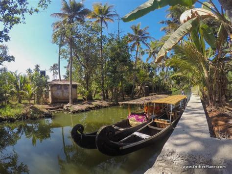 Why Canoeing Through Alleppey Backwaters Is Better Than A Houseboat