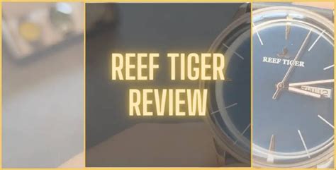 Reef Tiger Watches Review Is It Still A Good Brand
