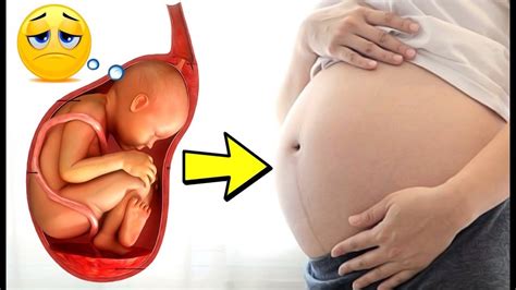 هل تعلم ماذا يحدث للجنين عندما تجوع الام ؟ youtube