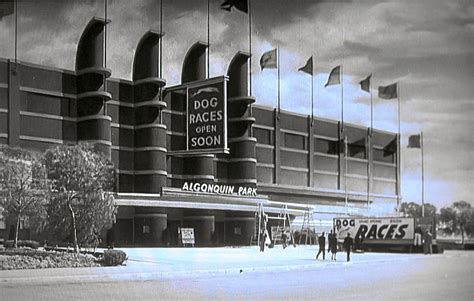 Pan Pacific Auditorium As The Algonquin Dog Park In Mgms Johnny Eager