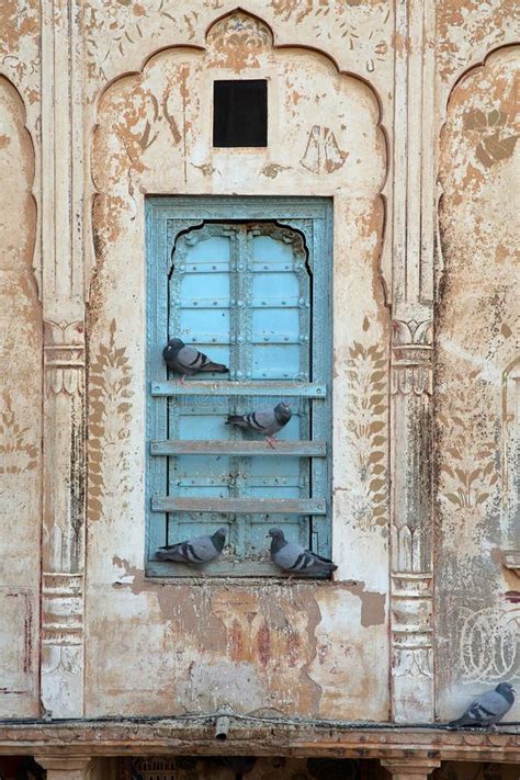 Close Up On A Haveli Window With Pigeons In Nawalgarh Shekhawati