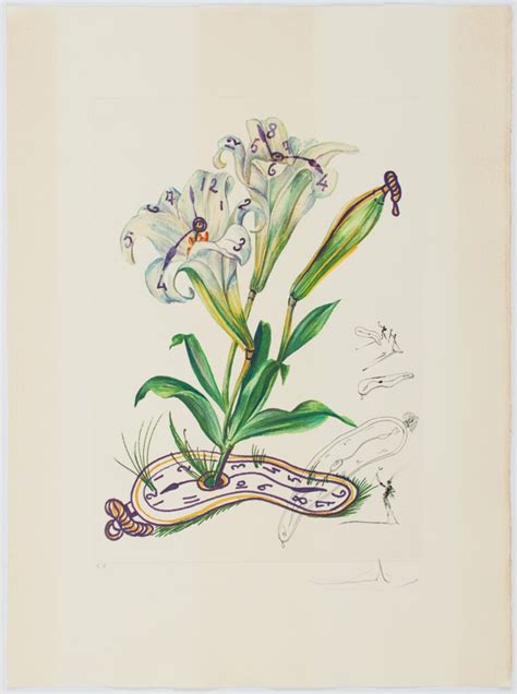 Salvador Dalí Surrealistic Flowers Or Florals 1982 Invertir En Arte