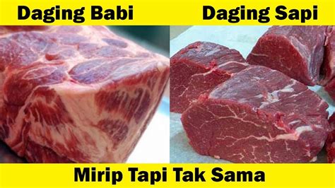 We did not find results for: 5 Cara Membedakan Antara Daging Babi & Daging Sapi - YouTube