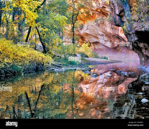 Fall Color On The West Fork Oak Creek Red Rock Secret Mountain