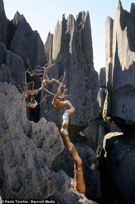 The Magic Of Madagascar Staggering Landscapes And Breathtaking Natural