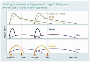Designing An Insulin Regimen Diabetes Education Online