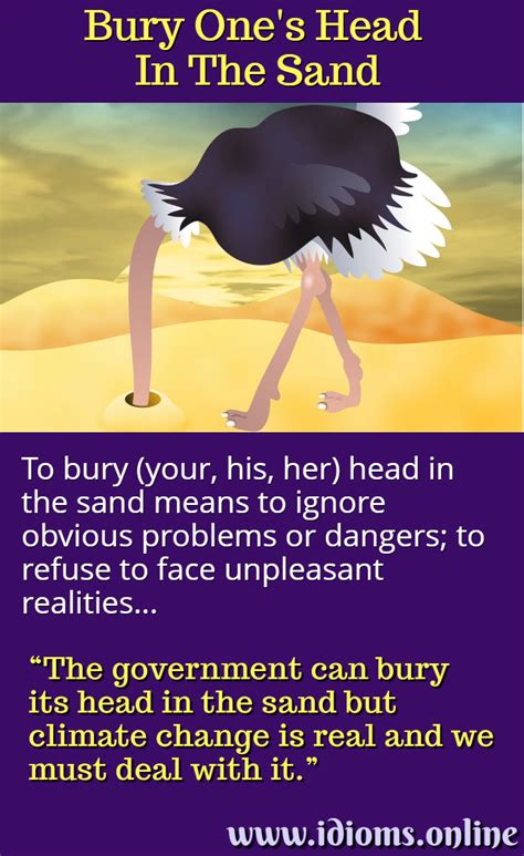 Bury Ones Head In The Sand Idioms Online