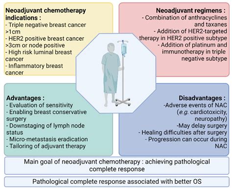 Predictive Biomarkers Of Neoadjuvant Chemotherapy In Breast Cancer Encyclopedia Mdpi