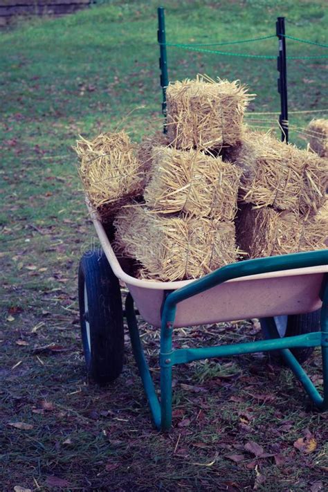 Mini Hay Bales In A Wheelbarrow Stock Image Image Of Small Fall