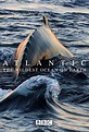 Atlantic: The Wildest Ocean on Earth - Série (2015) - SensCritique