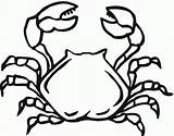 Crab Coloring Printable Hermit Christmas Template Coloringbay Turtle sketch template