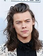 Harry Styles' Long Hair Just Made An Incredible, Unexpected Comeback ...