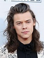 Harry Styles' Long Hair Just Made An Incredible, Unexpected Comeback ...
