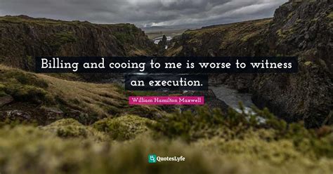 Billing And Cooing To Me Is Worse To Witness An Execution Quote By