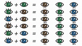 eye color chart what color eyes will my baby have - eye color rarity ...