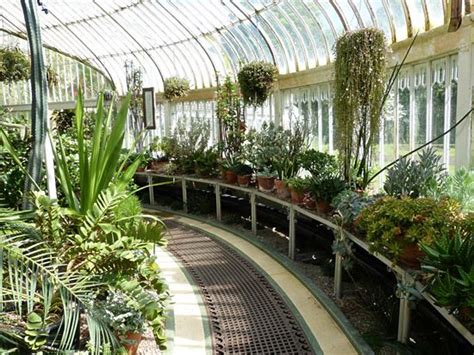 Belfasts Botanic Gardens Jenikyas Blog Botanical Gardens