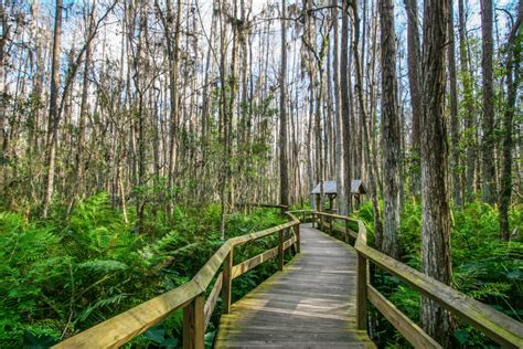 11 Beautiful Places To Go Hiking In And Around Miami