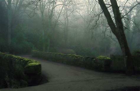 Hd Park Fog Bridge Morning Forest Hd Resolution Wallpaper Download