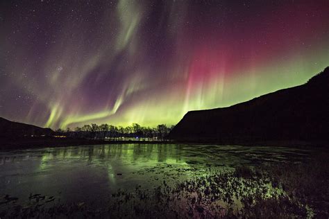 Red And Green Auroras Photograph By Frank Olsen