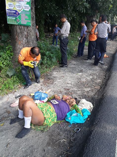 Mayat Wanita Tanpa Identitas Ditemukan Di Pinggir Jalan Raya