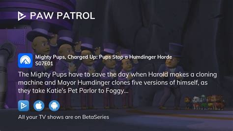 Where To Watch Paw Patrol Season 7 Episode 1 Full Streaming