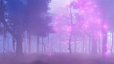Woodland Scene With Thick Fog Creeping Along The Ground In A Misty Pine
