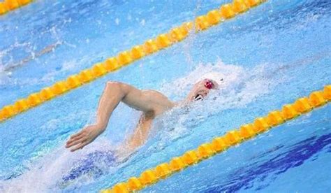 国际泳联冠军游泳系列赛，孙杨勇夺400米自由泳冠军山东鲁能体育齐鲁网