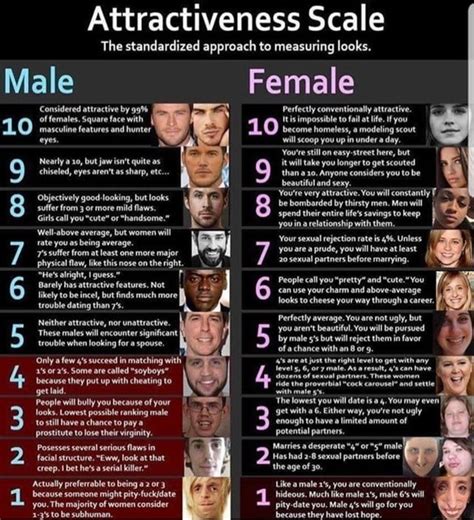 Male attractiveness guy rating scale 1 10 pictures. How to tell if you're a 5 on the looks scale - Quora