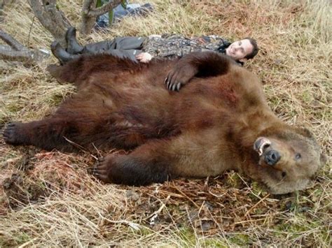 Shh Play Dead Hunting Humor Brown Bear Wildlife