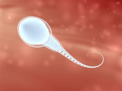 Serial Sperm Donor Sued For Increasing Incest Risk After Fathering 550