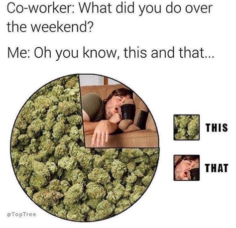 69 Weed Memes That Rip Harder Than Your Bong Funny Gallery Ebaums