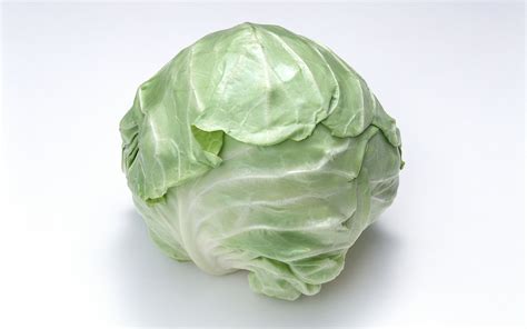 Cabbage Hd Wallpaper