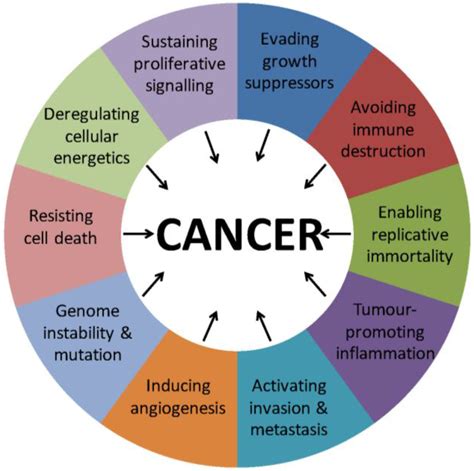 What Is A Cancer Characteristics Cancer Zodiac Facts Image By Amy