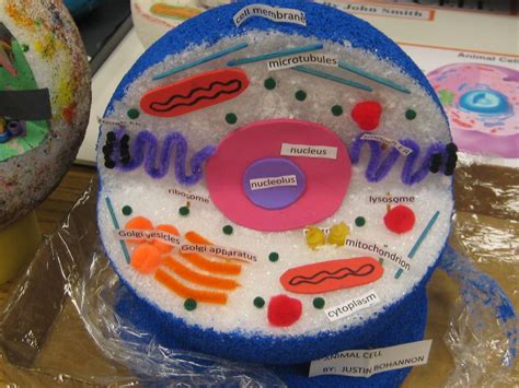 Student Showcase Animal Cell Project Cells Project Animal Cells Model