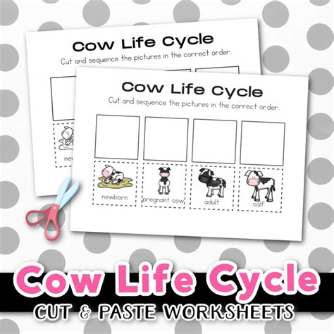 Free Printable Life Cycle Of A Cow Worksheet