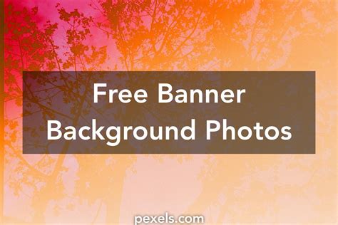 1000 Great Banner Background Photos · Pexels · Free Stock Photos