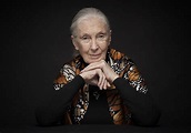 Jane Goodall reçoit le prix Templeton 2021 - Jane Goodall Institute Belgium