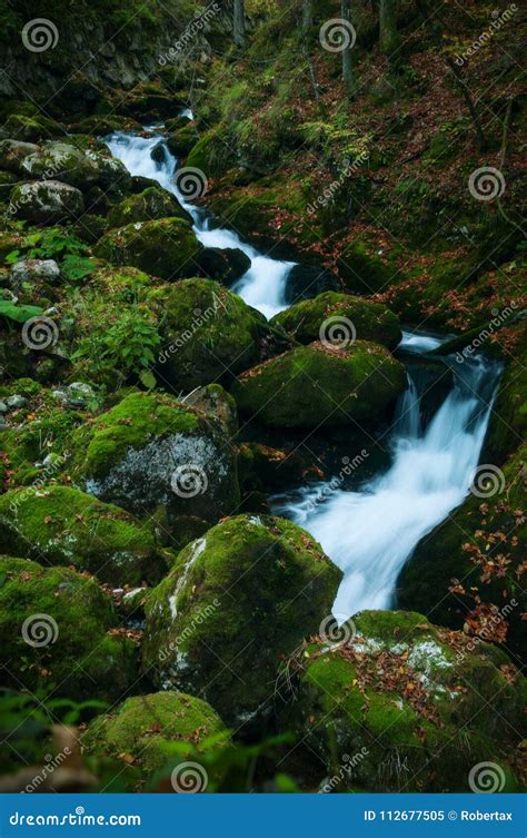 A Stream Of Water Flowing Over Mossy Rocks In The Autumn Stock Image