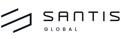 Santis Global Courier Services London Delivering Success