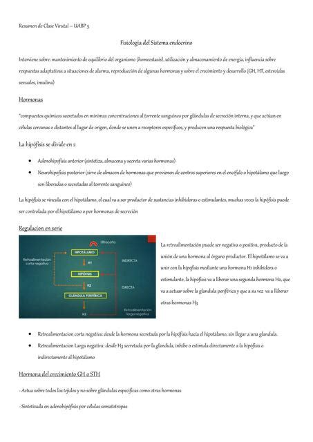 Fisiología del Sistema Endocrino GH TH Prsc Grs uDocz