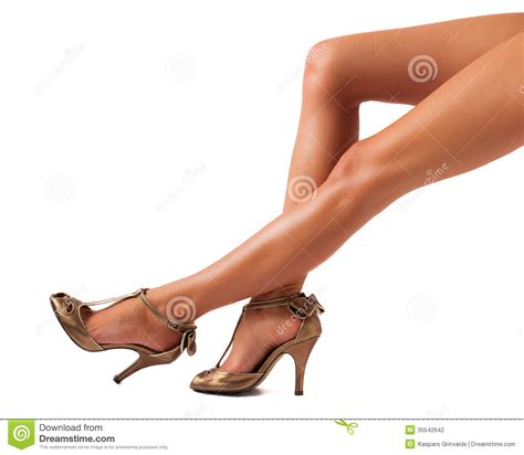 Beautiful Women Legs Stock Photo Image Of Confidence